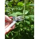 Profesionálne záhradné nožnice Okatsune 104