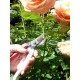 Profesionálne záhradné nožnice Okatsune 104