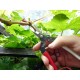 Profesionálne záhradné nožnice Okatsune 307
